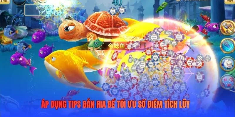 Áp dụng tips bắn ria để tối ưu số điểm tích lũy