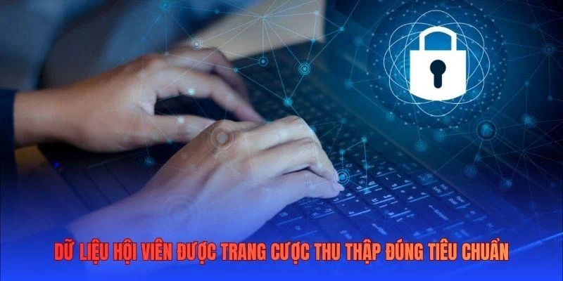 Dữ liệu hội viên được trang cược thu thập đúng tiêu chuẩn Dữ liệu hội viên được trang cược thu thập đúng tiêu chuẩn